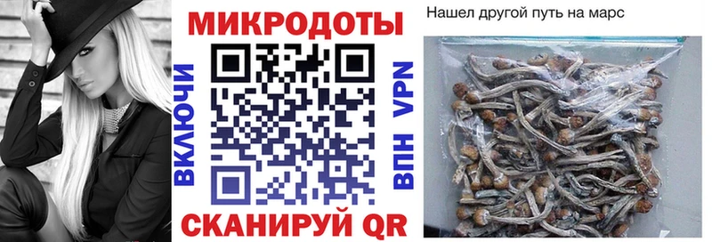 Псилоцибиновые грибы мухоморы  Купить закладки  Ханты-Мансийск 